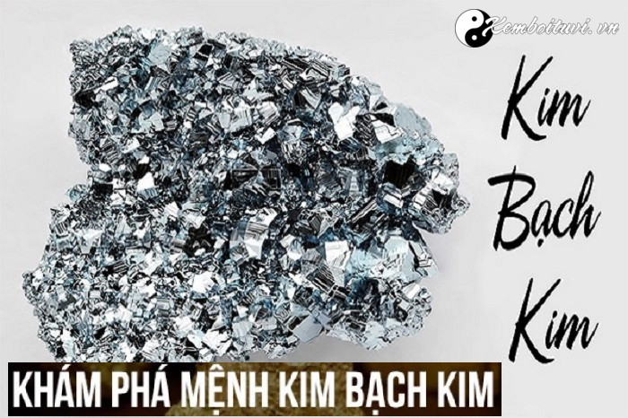 menh-kim-bach-kim-la-gi