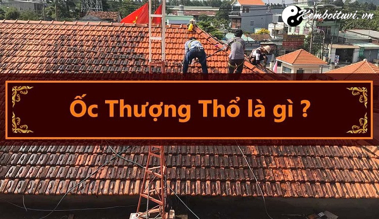 menh-oc-thuong-tho-nghia-la-gi