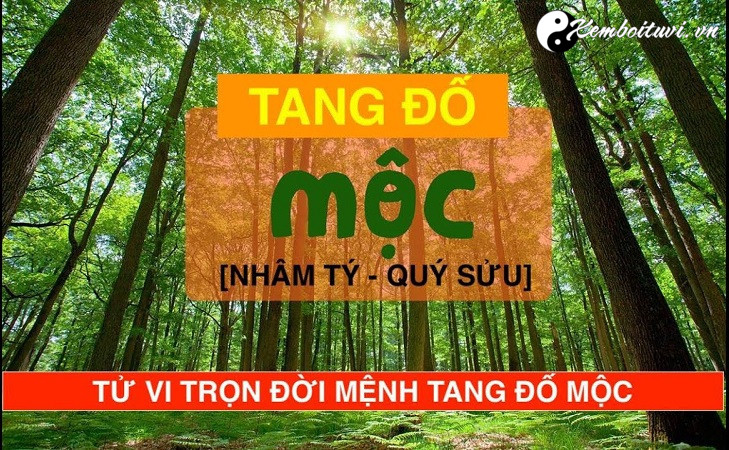 menh-tang-do-moc-co-nghia-la-gi