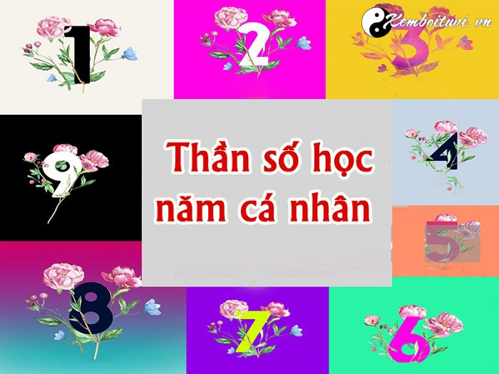 tim-hieu-nam-ca-nhan-va-chu-ky-nam-ca-nhan-co-anh-huong-den-cuoc-song